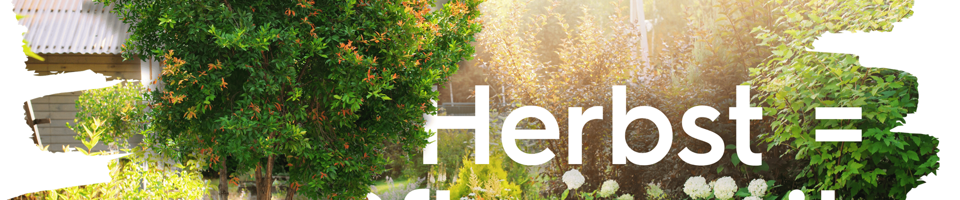 Newsletter Titelbild Herbstzeit Pflanzzeit.png