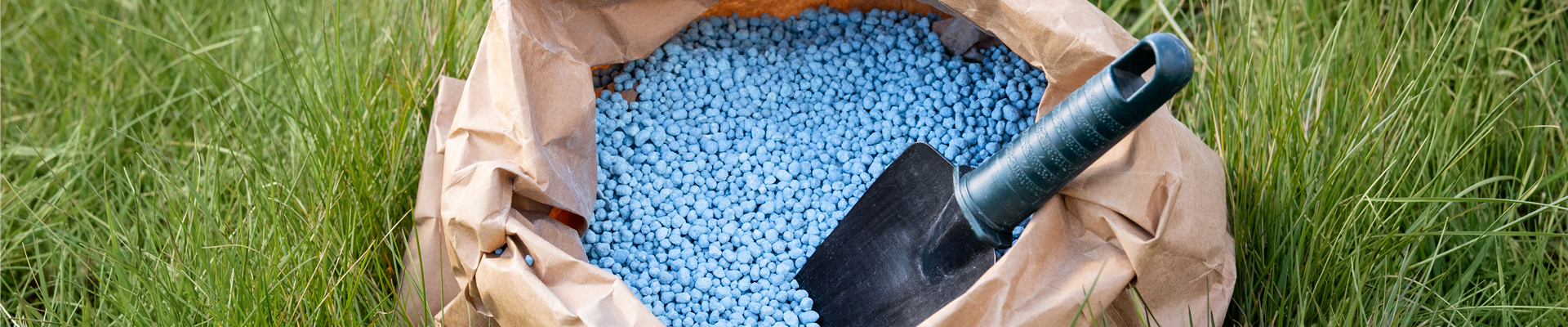 GS657902.jpg GS657902.jpg