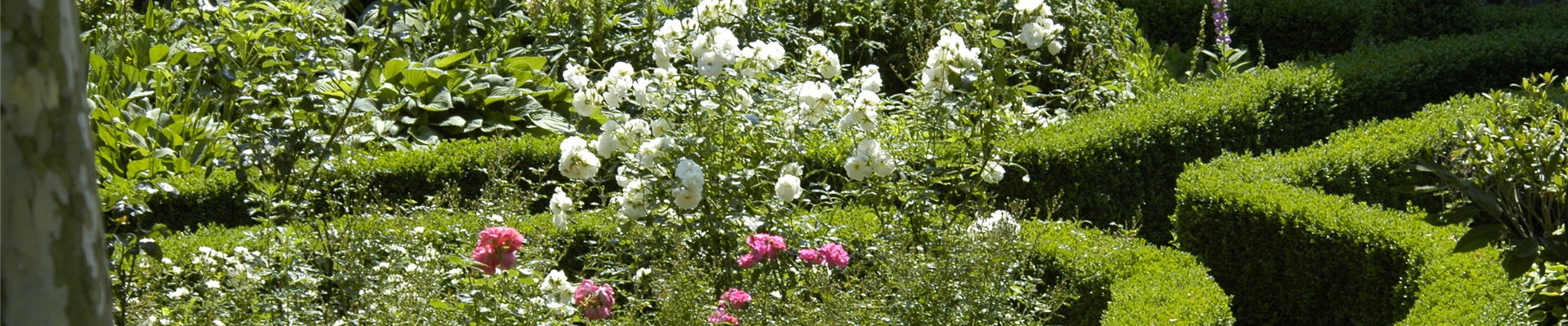 GS620474.jpg GS620474.jpg