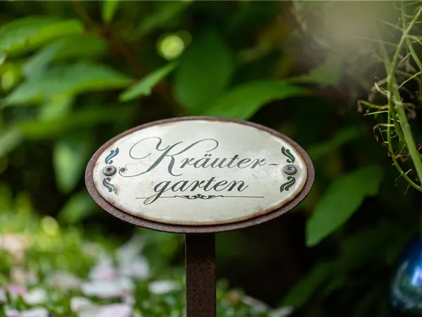 Ernte ohne Garten - Im duftenden Kräutergarten auf dem Balkon