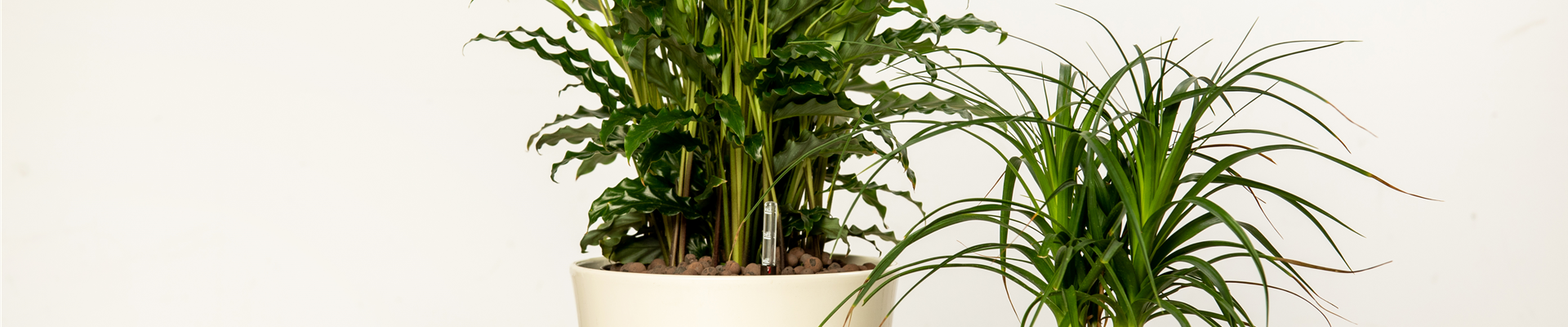 GS644845.jpg GS644845.jpg