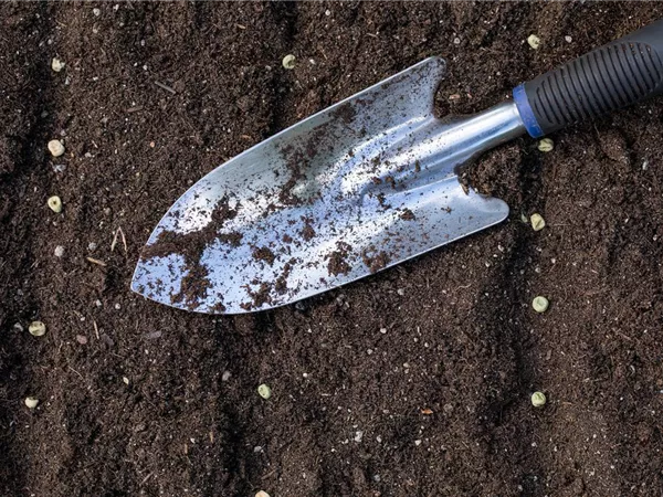 Mit dem passenden Saatgut für das Gewächshaus Gemüse anbauen