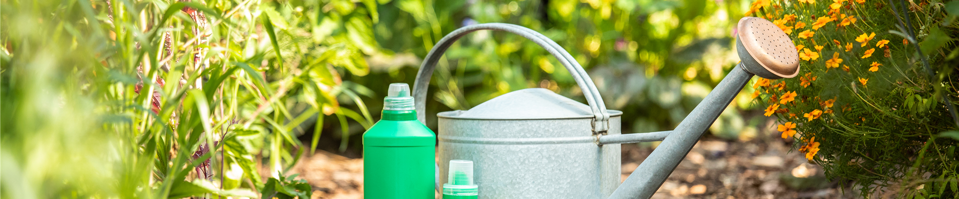 GS671888.jpg GS671888.jpg