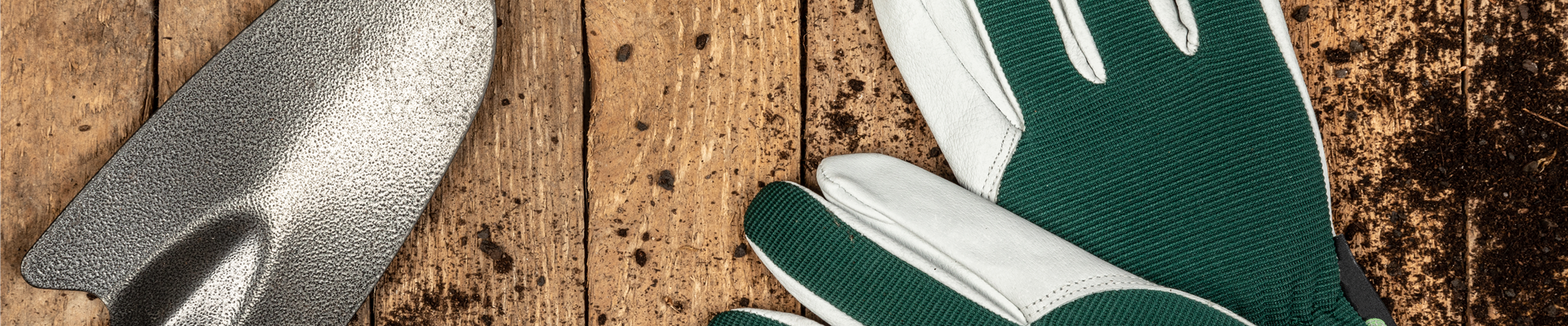 GS658061.jpg GS658061.jpg