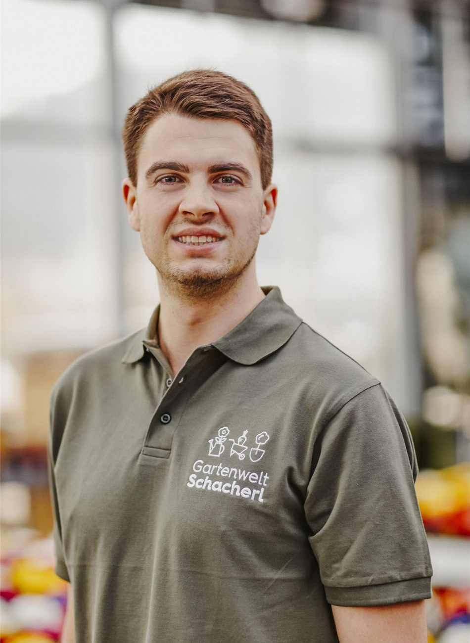 Werner Schaffer Jun.