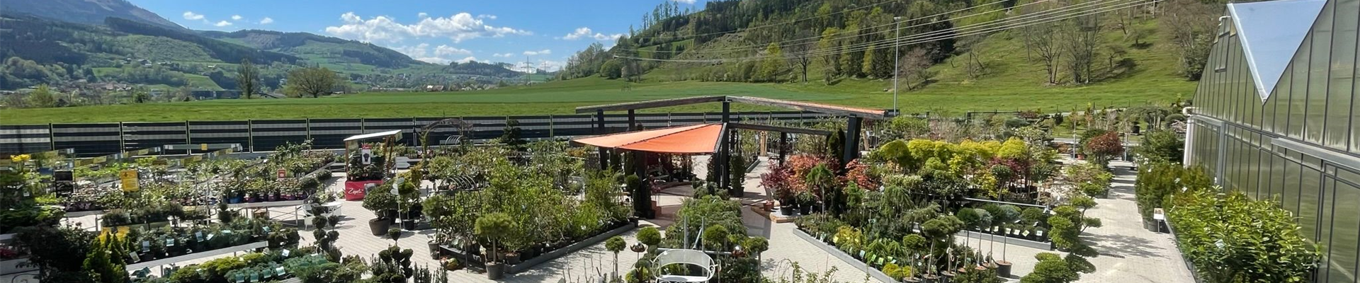 GartenweltSchacherl_Baumschule014.jpg GartenweltSchacherl_Baumschule014.jpg
