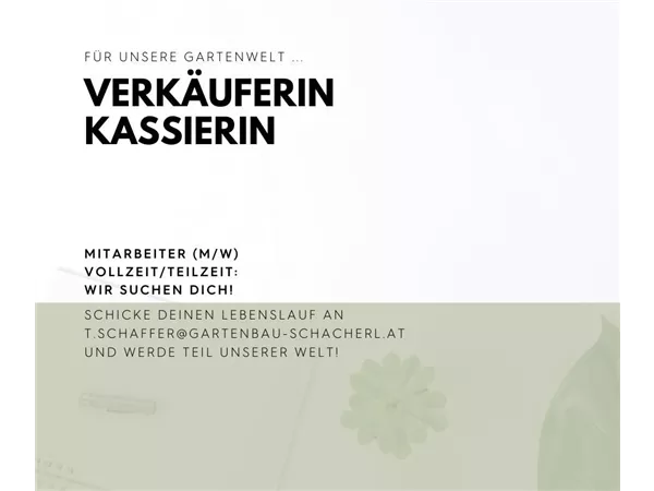 VerkäuferIn KassierIn