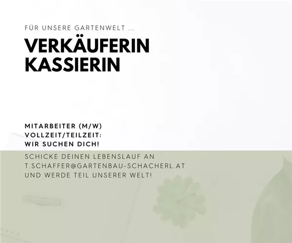 VerkäuferIn KassierIn VerkäuferIn KassierIn
