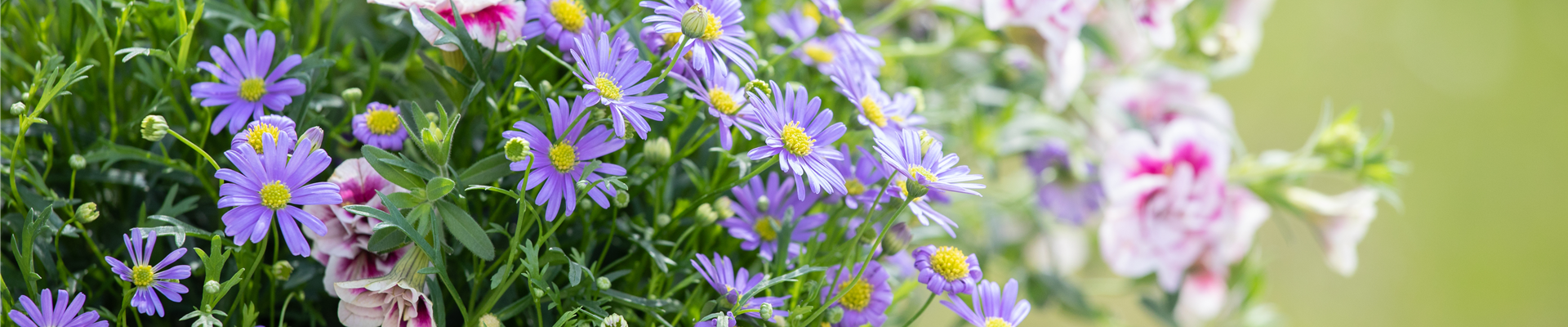 GS622998.jpg GS622998.jpg