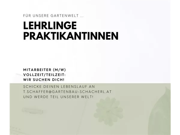 Lehrlinge / Praktikanten