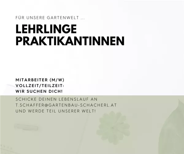 Lehrlinge / Praktikanten Lehrlinge / Praktikanten