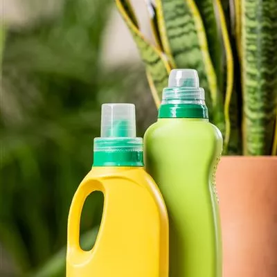 Dünger und Pflegemittel Dünger und Pflegemittel