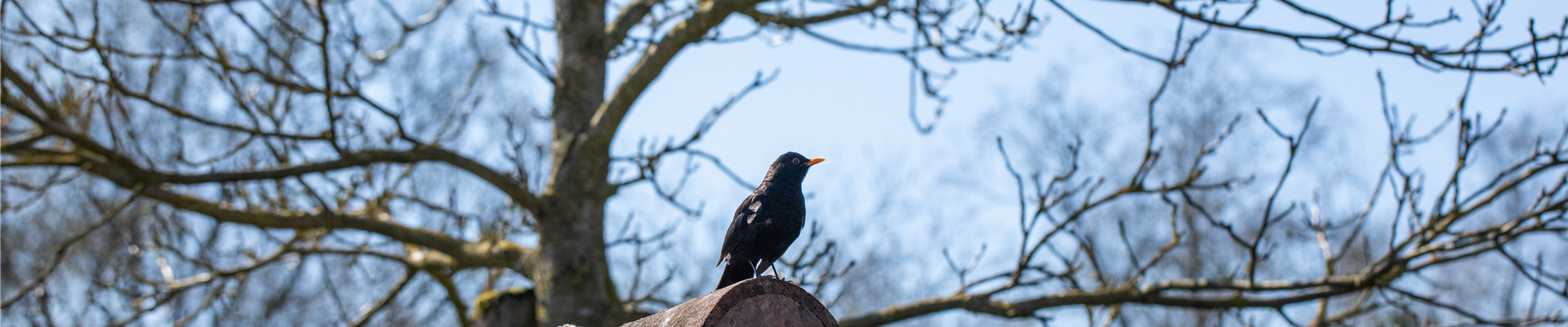 GS712078.jpg GS712078.jpg