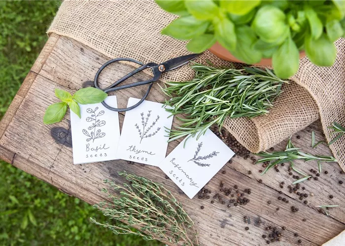 Ein Aussaatkalender sorgt für Übersicht bei der Gartenplanung