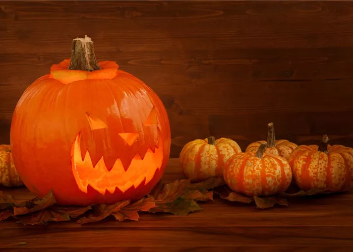 Der Garten zu Halloween – Schaurig schön