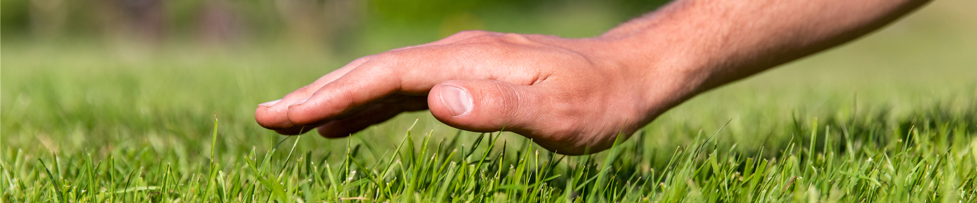 GS714492.jpg GS714492.jpg