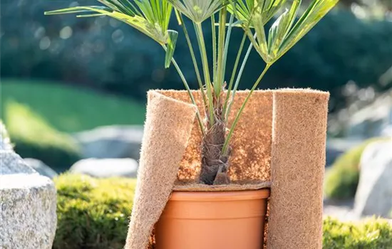 Den Garten winterfest machen Den Garten winterfest machen