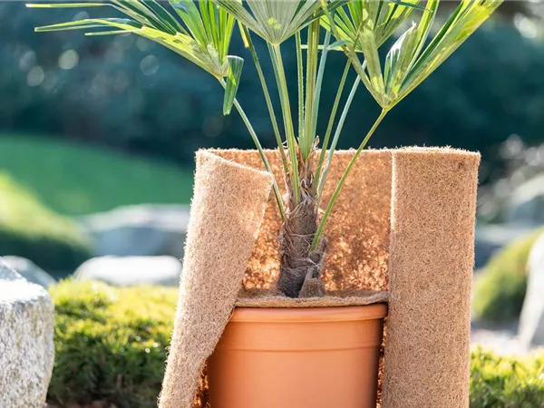 Den Garten winterfest machen