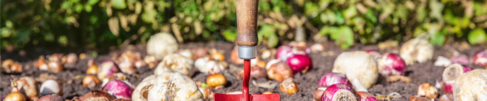 GS676189.jpg GS676189.jpg