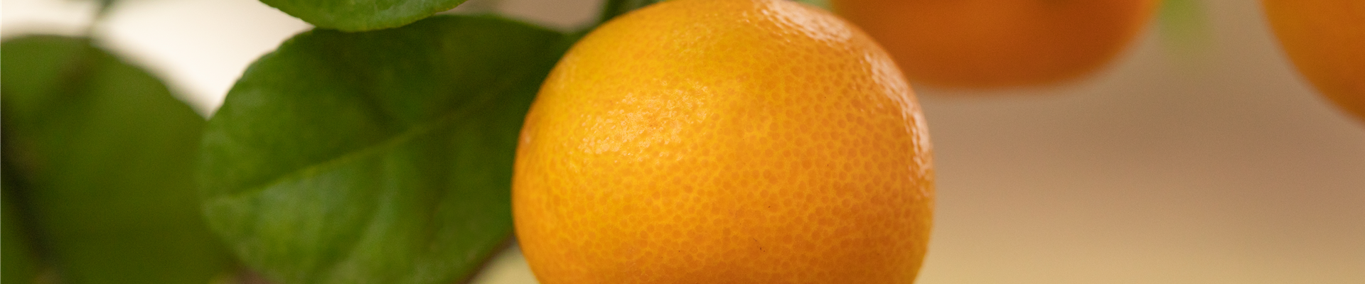 GS656055.jpg GS656055.jpg