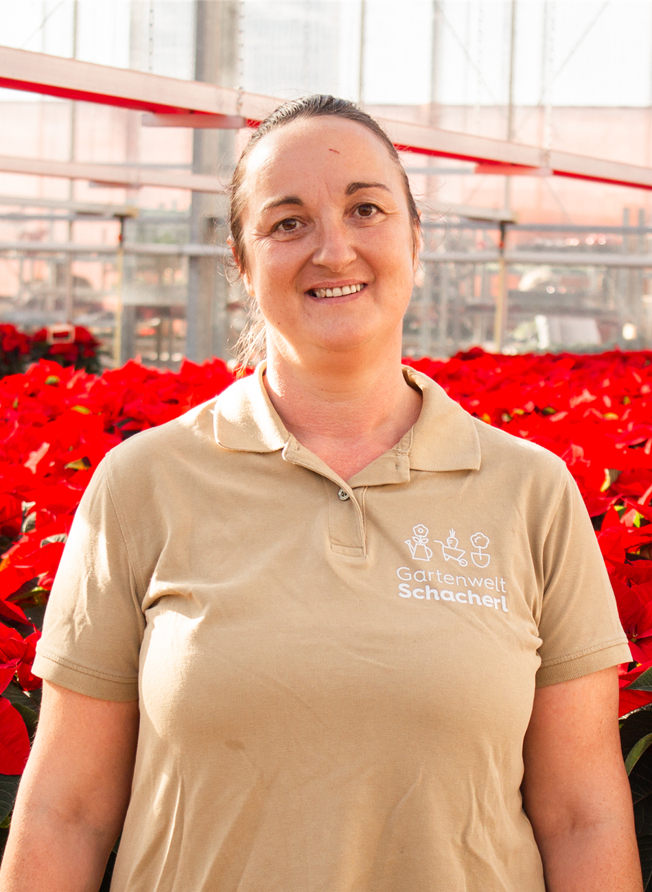 Alexandra Feichtenhofer