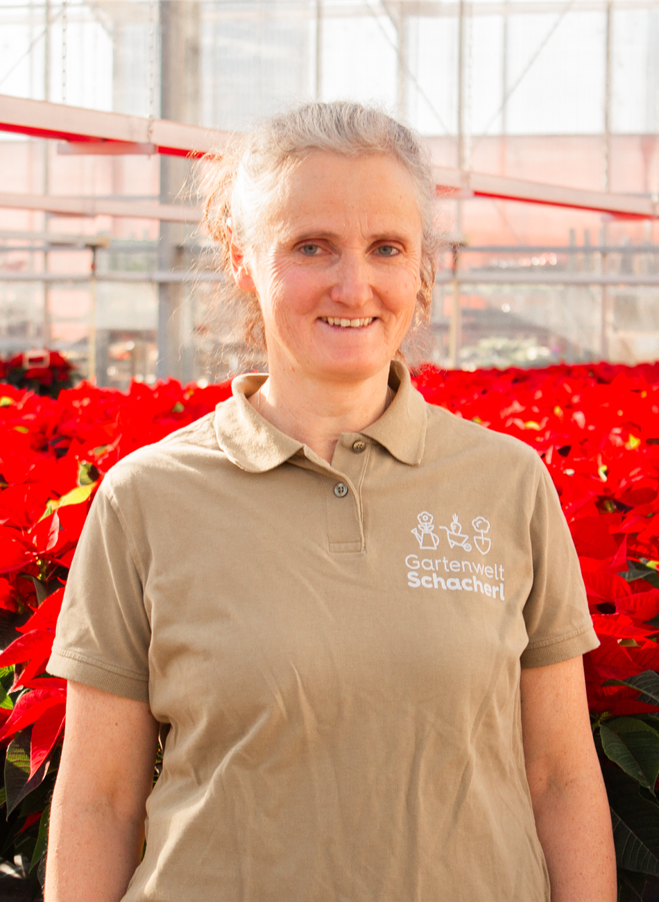 Andrea Baumgartner-Steinleitner