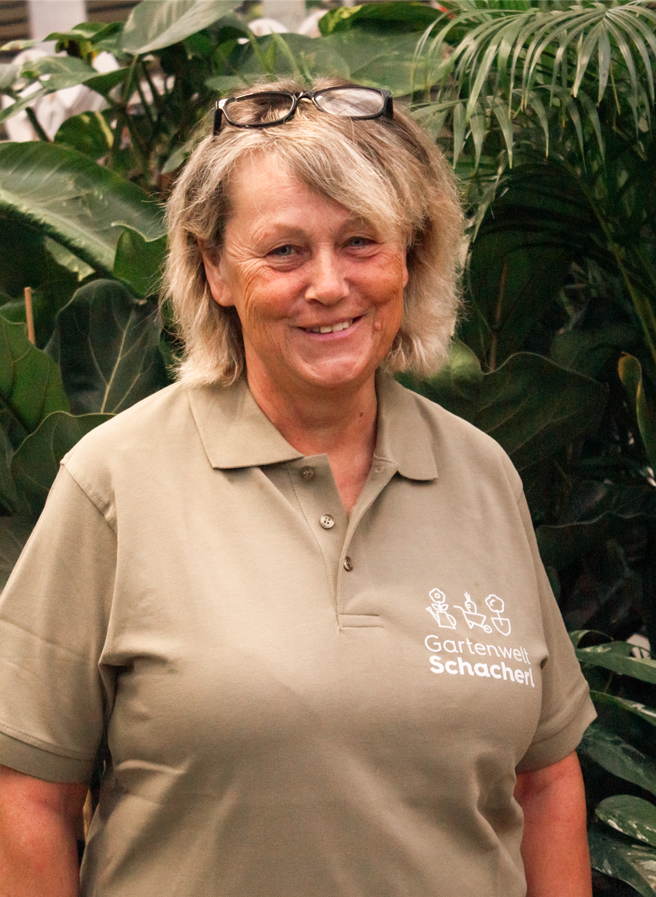 Monika Gschanes-Tritscher