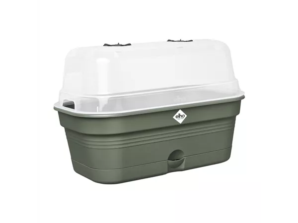 Green Basics Anzucht Schale Allin1 Green Basics Anzucht Schale Allin1