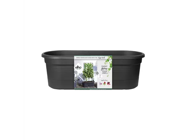 Green Basics Veggie Wall Green Basics Veggie Wall