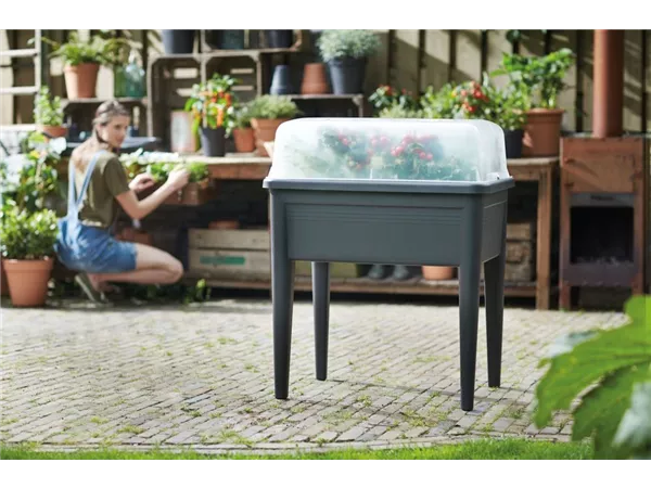 Green Basics Anzucht Haus Xxl Green Basics Anzucht Haus Xxl