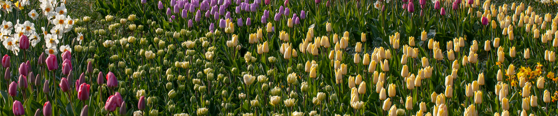 GS652612.jpg GS652612.jpg