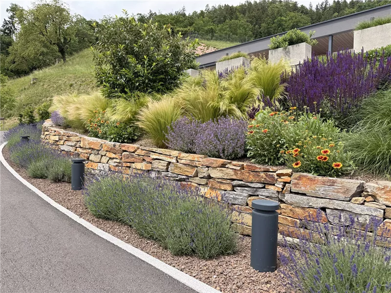 Natursteinmauer aus Stainzer Hartgneis mit Lavendel und Gräsern