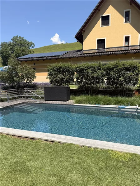 Naturpool im neu gestalteten Garten
