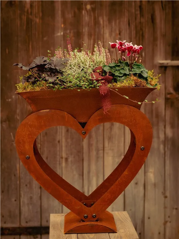 Rostherz mit bepflanzter Schale aus Cyclamen und Calluna